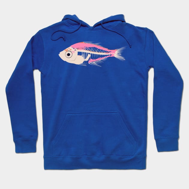 Indian Glassy Fish Hoodie by stargatedalek